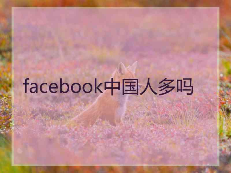 facebook中国人多吗
