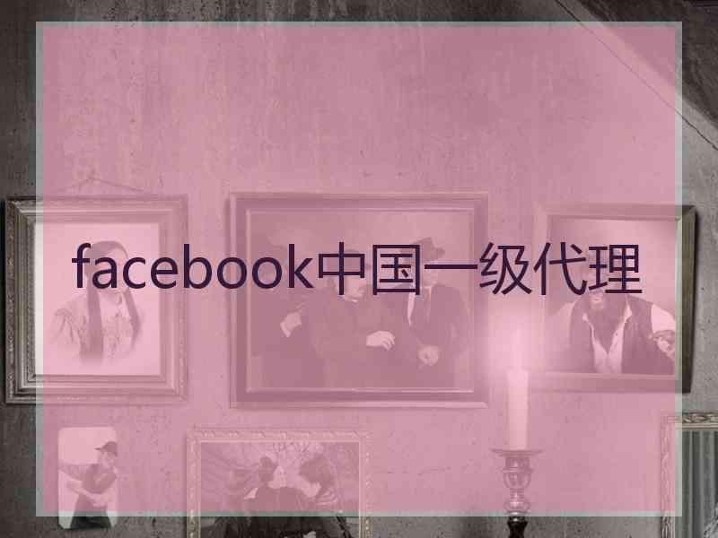 facebook中国一级代理